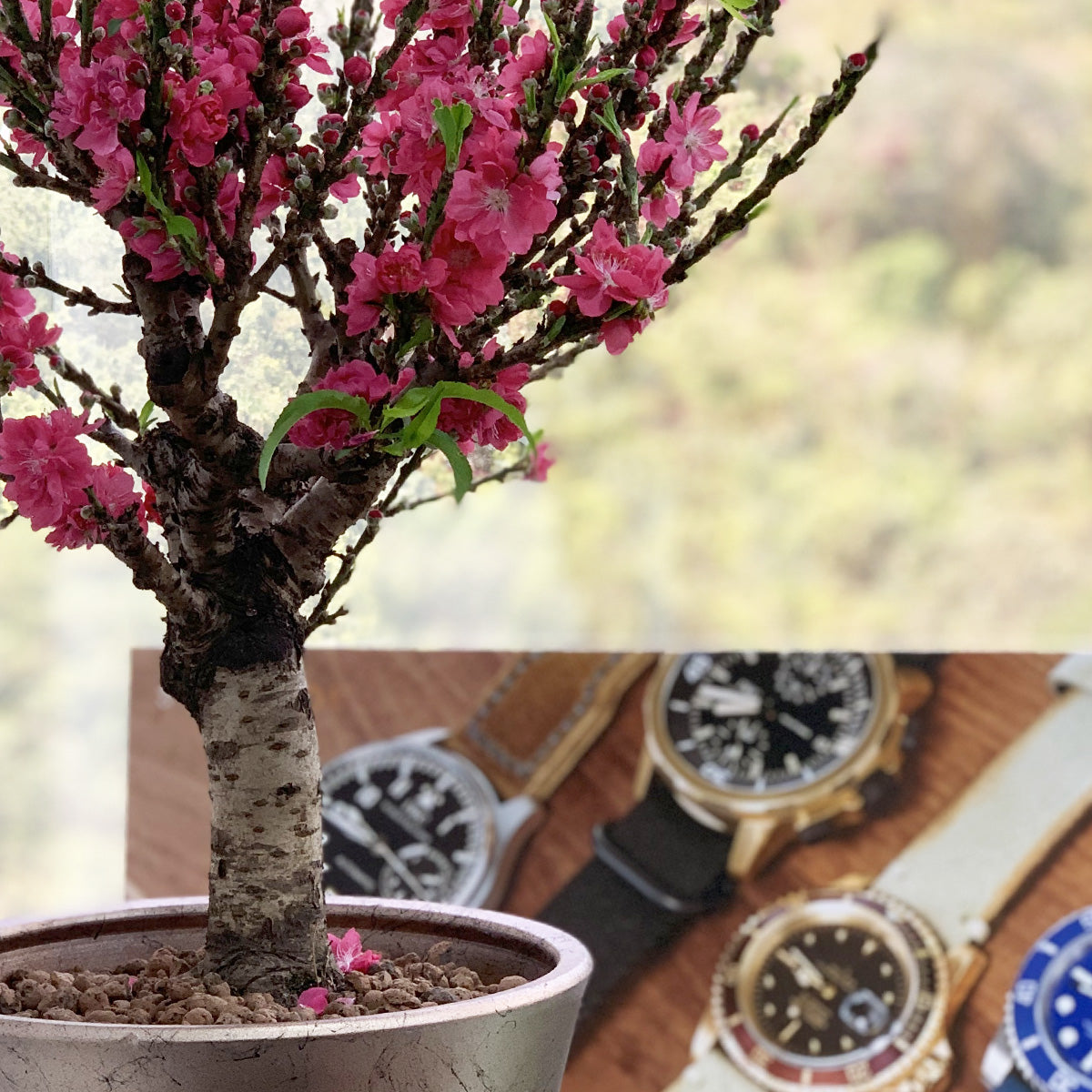 CNY 2022 Greetings & The Best CNY Gold Seiko Watches