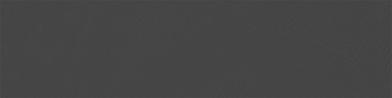 StrapXPro for Seiko New Turtles